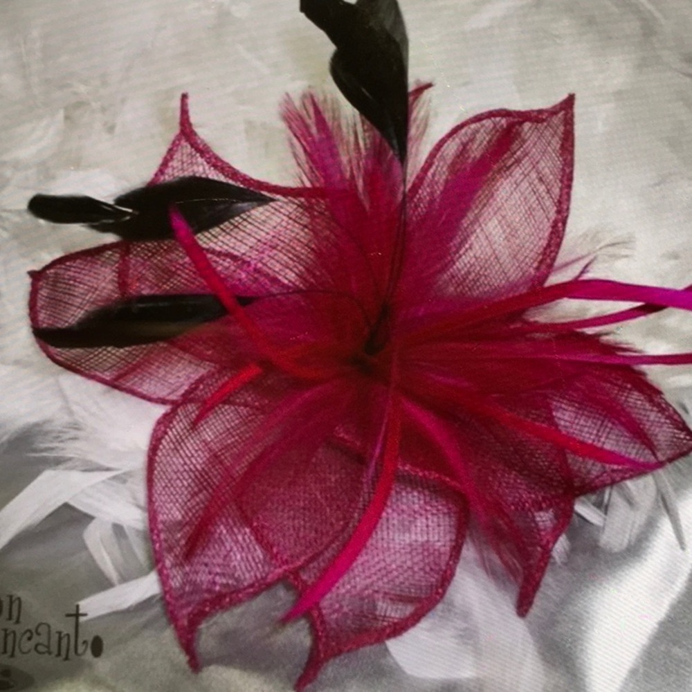 Fascinator or Dress Accessory, Feathers and Mesh